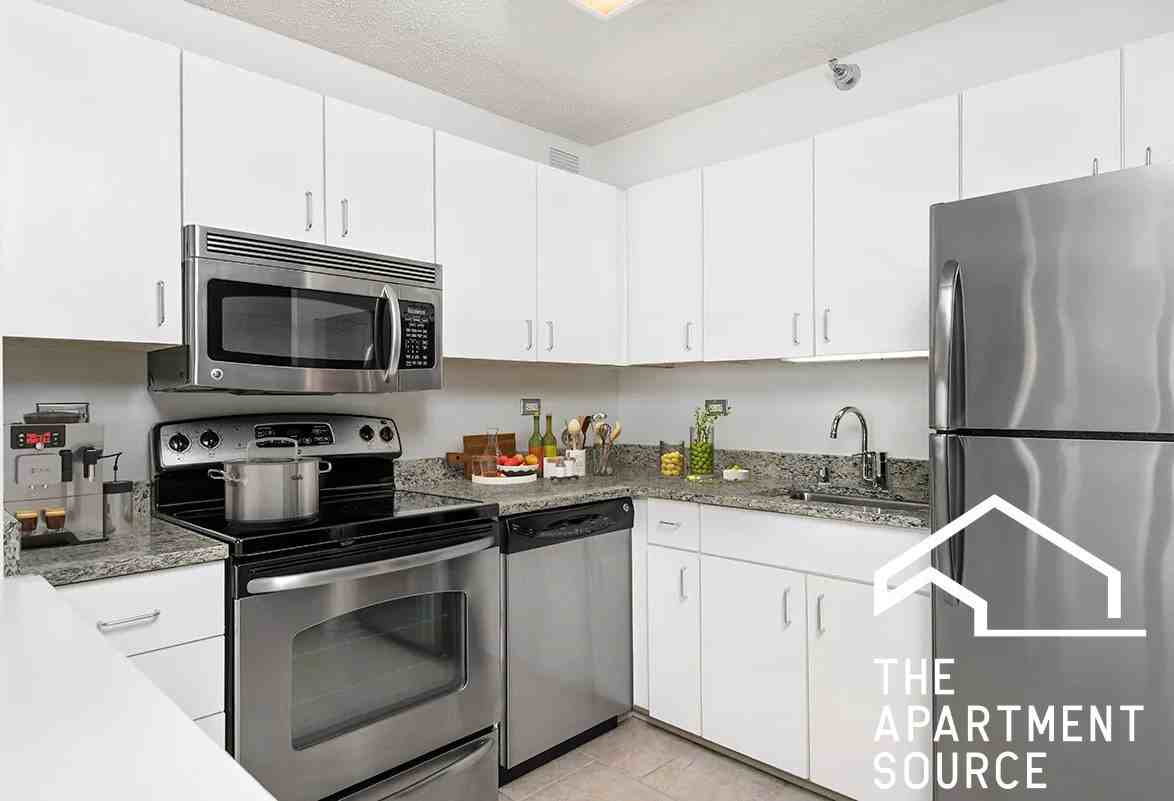 750 N Rush St #3503 - Photo 3 of 26