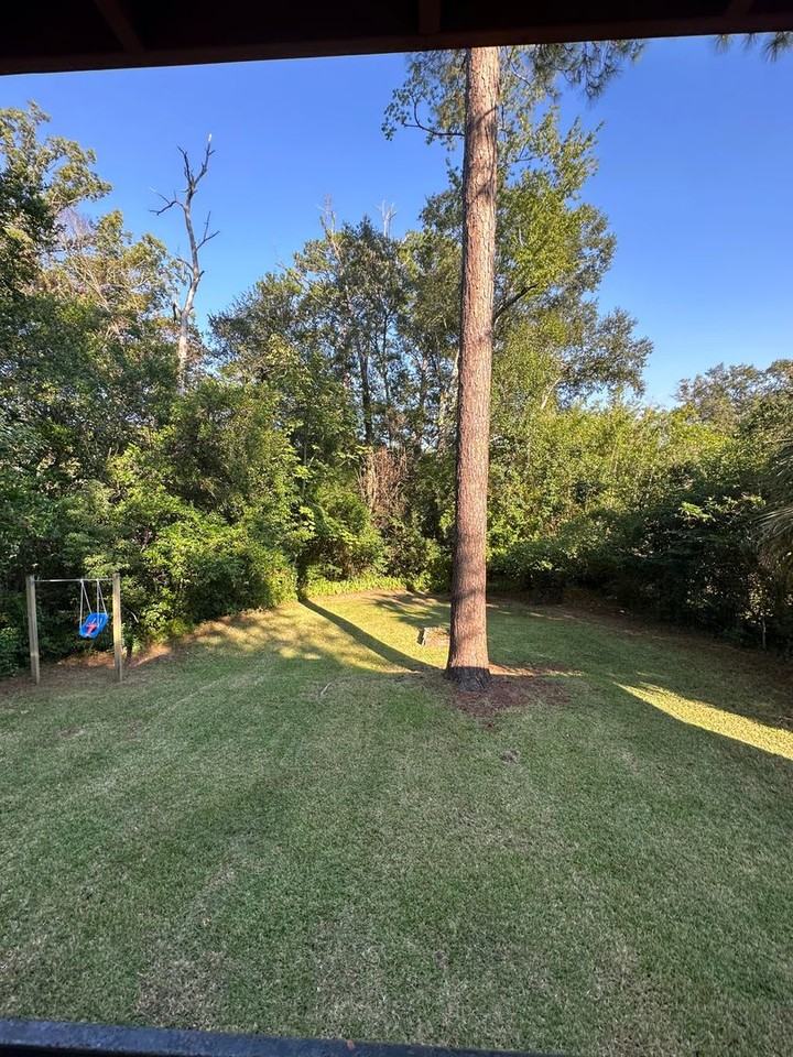 717 Edgewood St - Photo 6 of 11