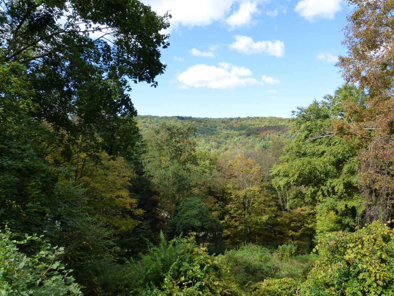 51 Green Hill Rd - Photo 2 of 25