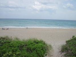 featured image of 420 Celestial Way #306