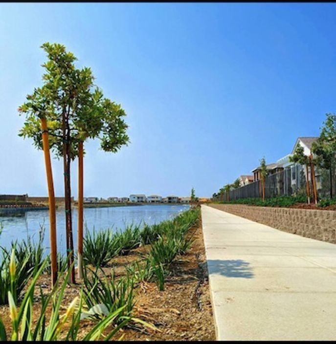 3706 Nuestra Ave - Photo 5 of 22