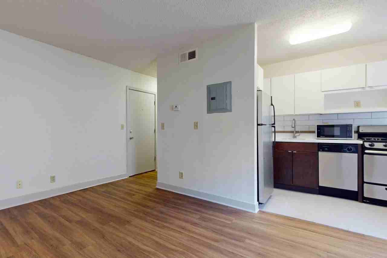 Alexander - Photo 4 of 36