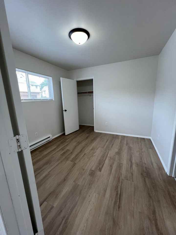 Indigo - Photo 3 of 17