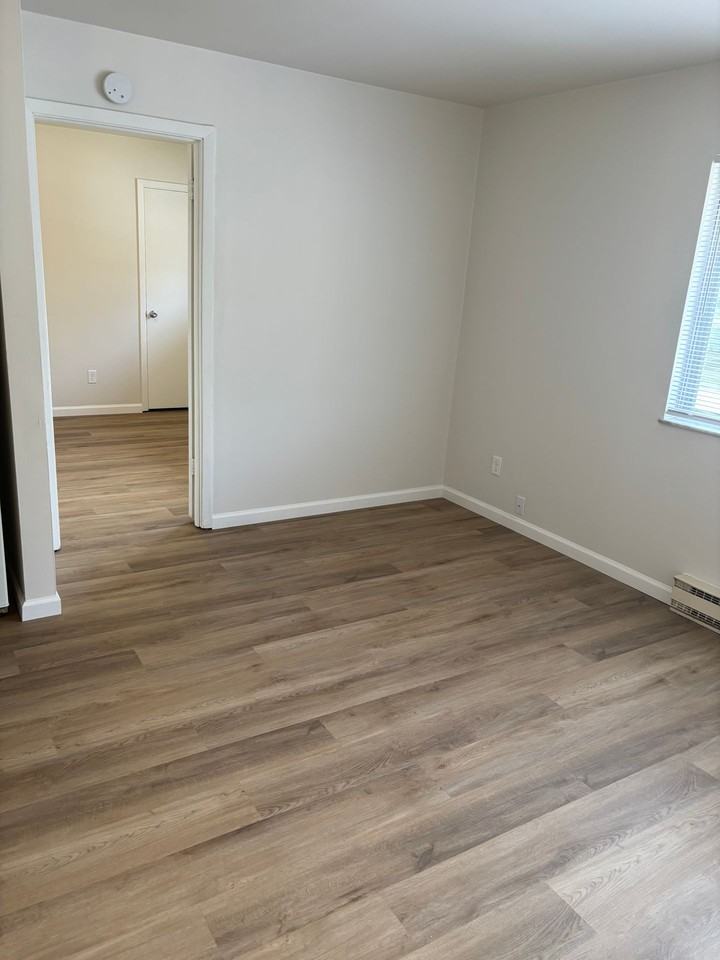 Indigo - Photo 7 of 17