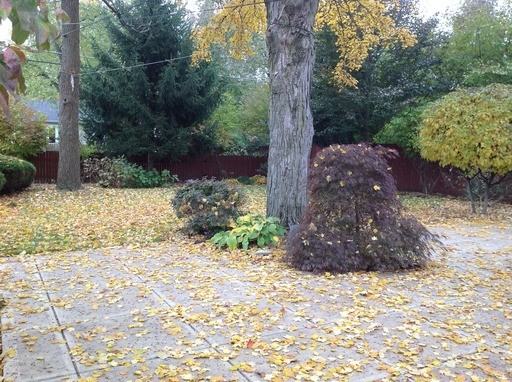5845 Brouse Ave - Photo 2 of 15