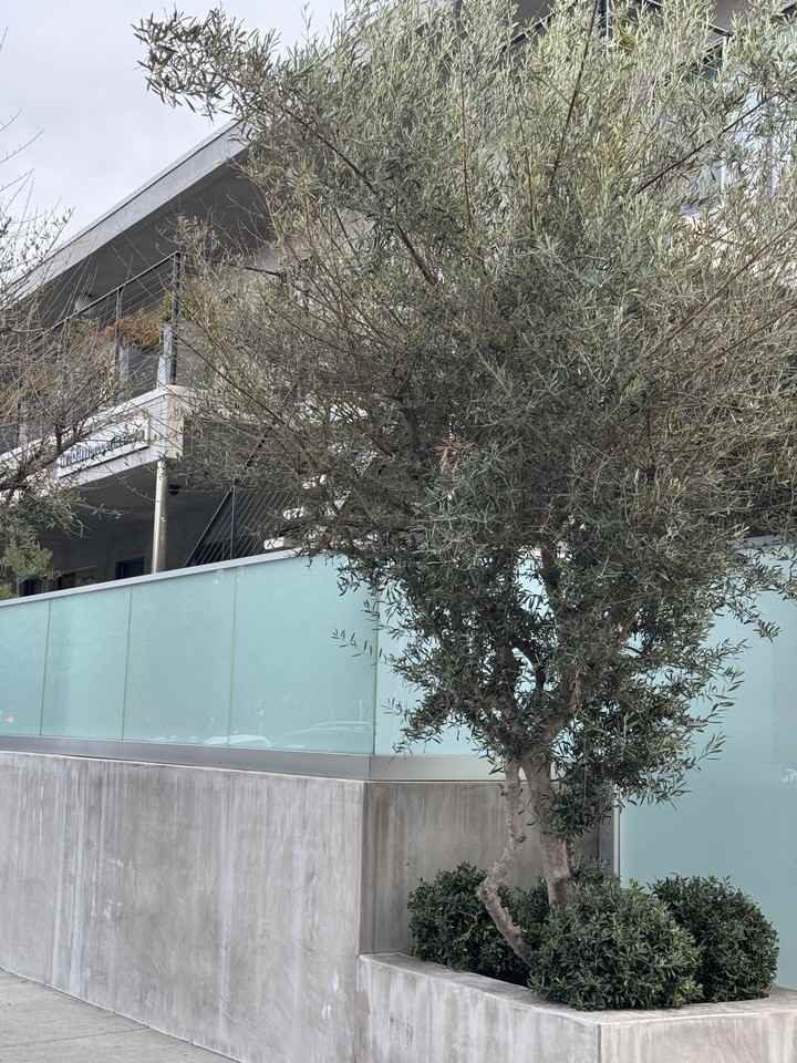 9100 Whitworth Drive - Photo 4 of 23