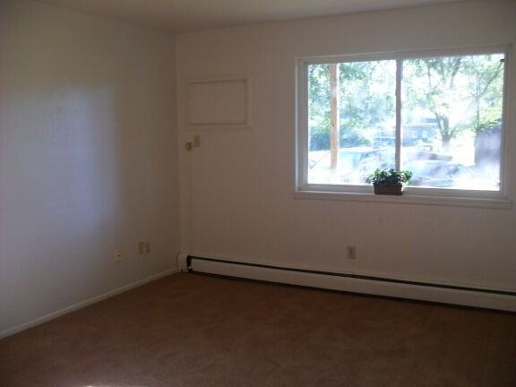 Otsego Apartments - Photo 5 of 9