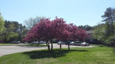 Shaw Lane - Photo 7 of 21