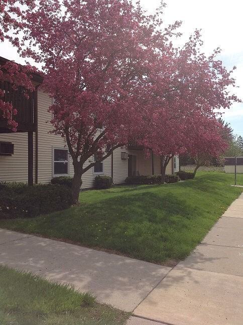 Riverview Blissfield - Photo 4 of 4