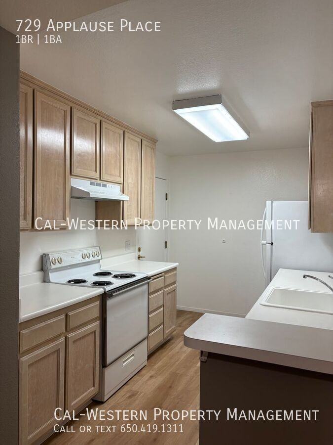 729 Applause Pl - Photo 2 of 29