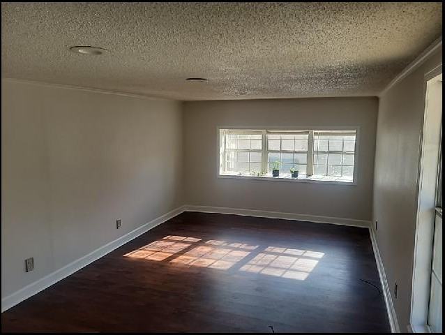 845 Highway 365 - Photo 3 of 10