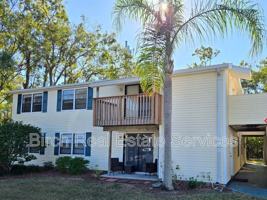 featured image of 133 Sabal Ct #H
