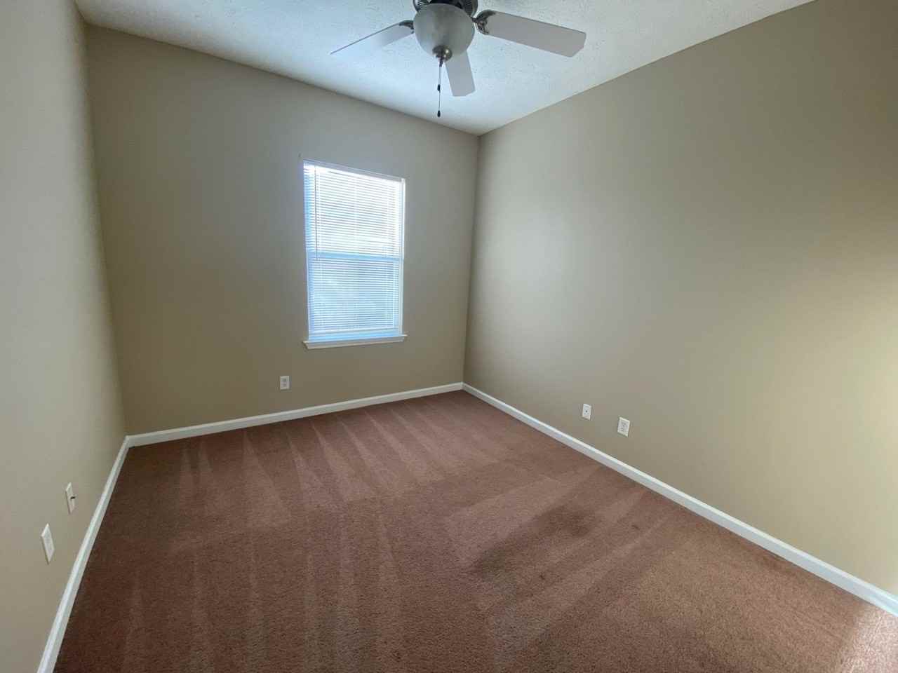 2904 Cocoa Ct - Photo 5 of 12