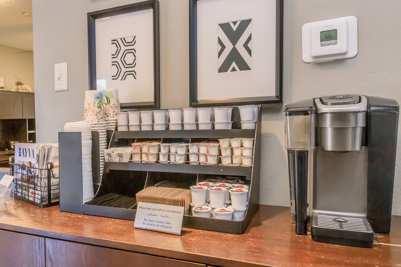 The Ayva - Photo 6 of 23