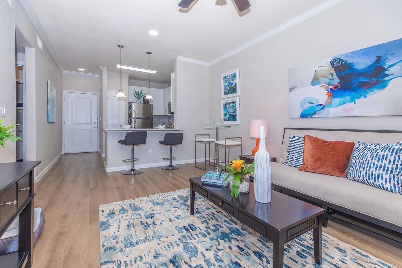 The Lynx - Photo 4 of 50