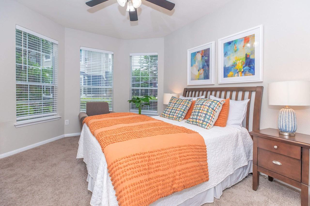 The Lynx - Photo 5 of 50