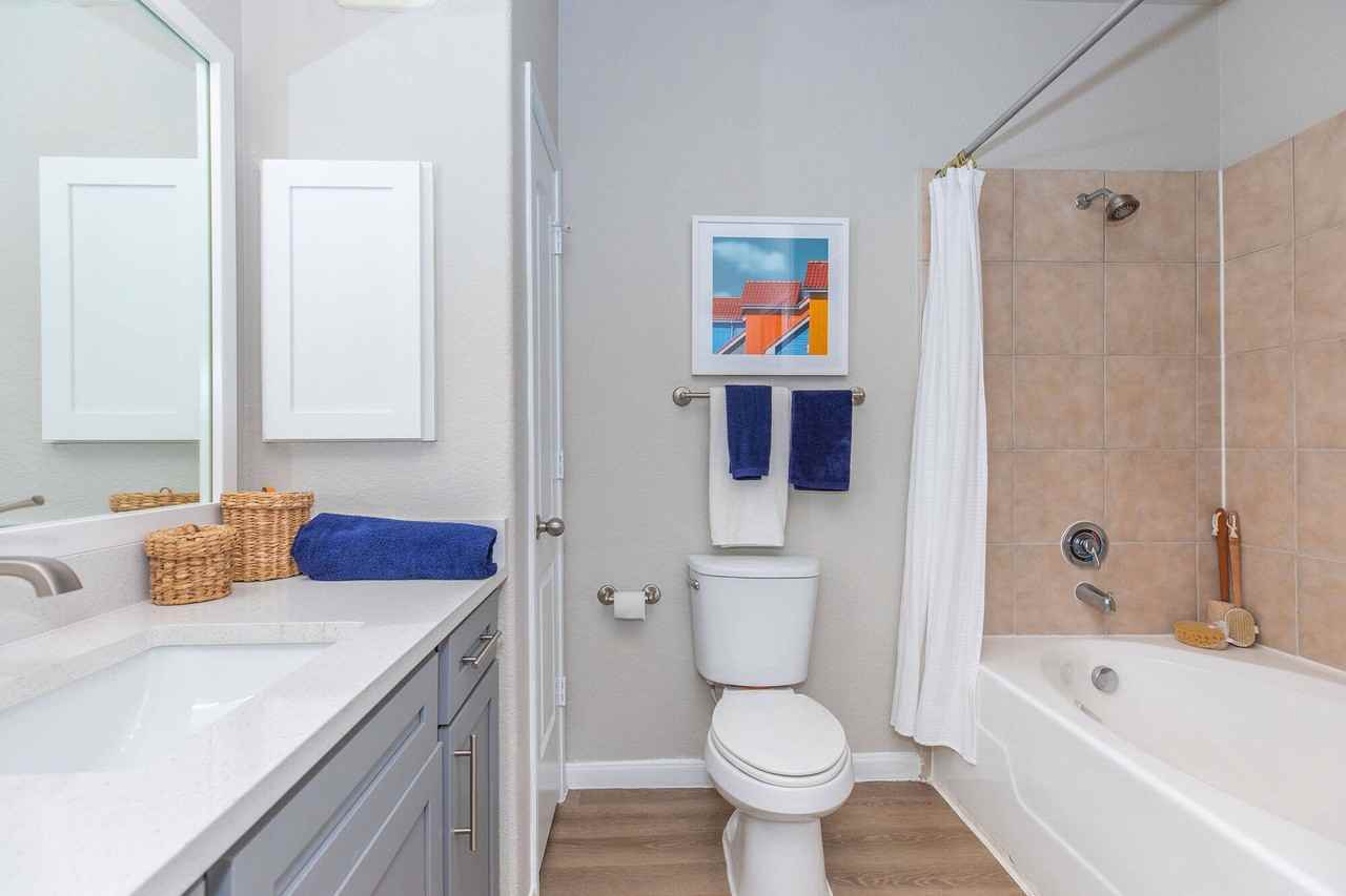 The Lynx - Photo 6 of 50