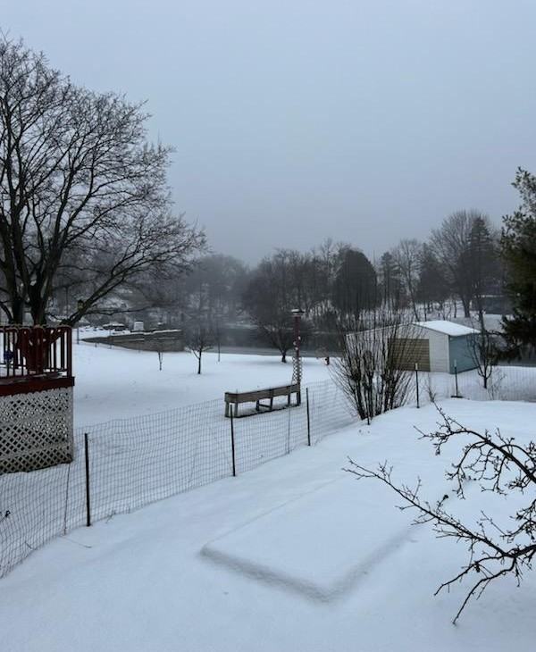 317 Mill St #317 - Photo 2 of 10