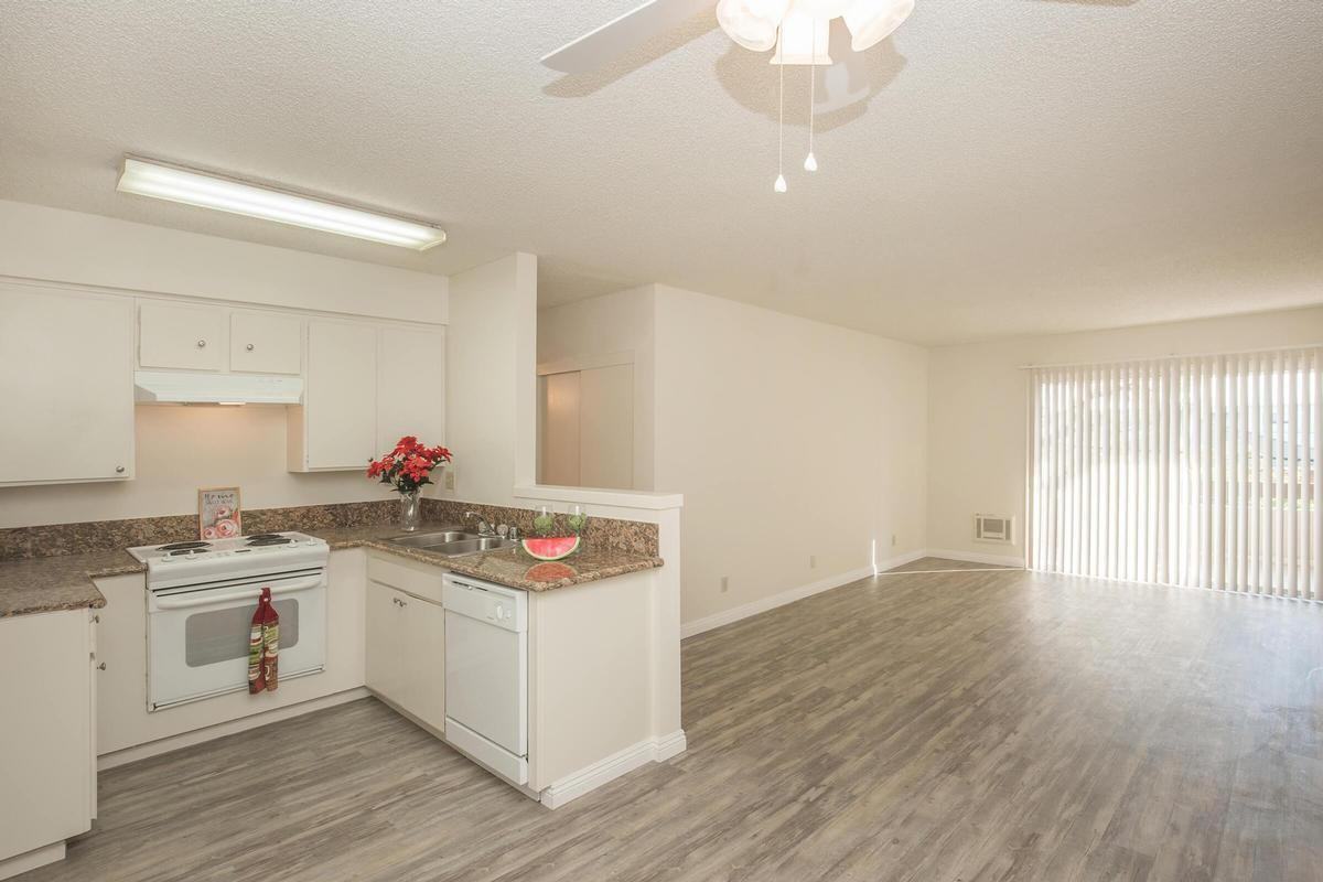 3553 Emerald Street - Photo 2 of 12