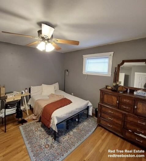 7 Stedman St #1 - Photo 4 of 9