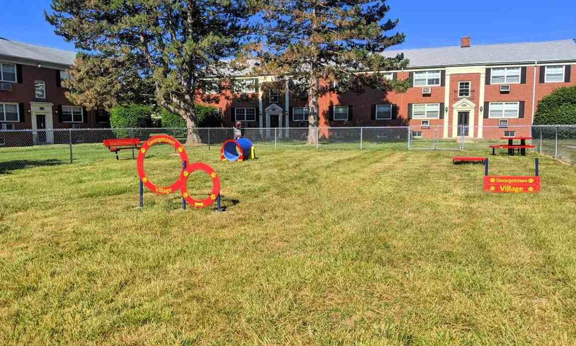 Georgetown Village - Photo 6 of 12