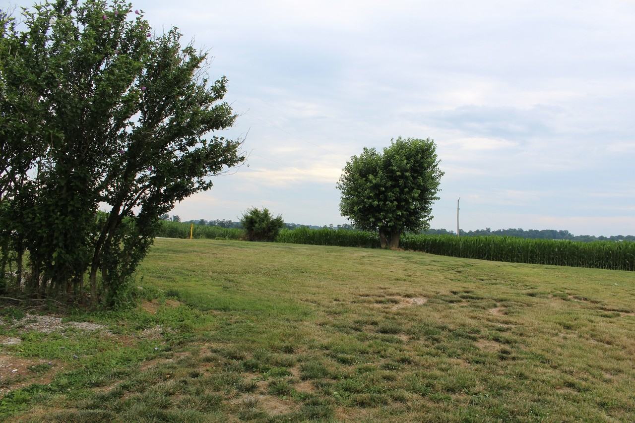 1903 Sieling Farm Rd - Photo 3 of 14