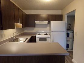 #284 CHALET VILLAGE - Photo 1 of 1