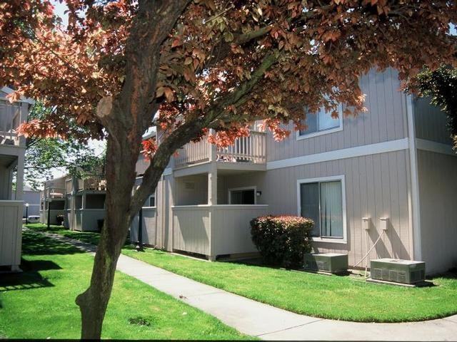 4433 Continental Way - Photo 6 of 7