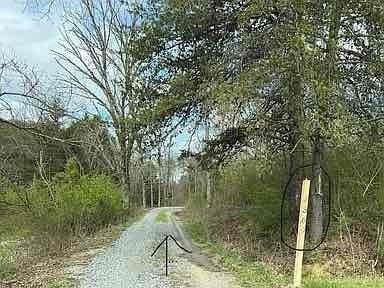 3369 Birdsong Rd - Photo 3 of 8