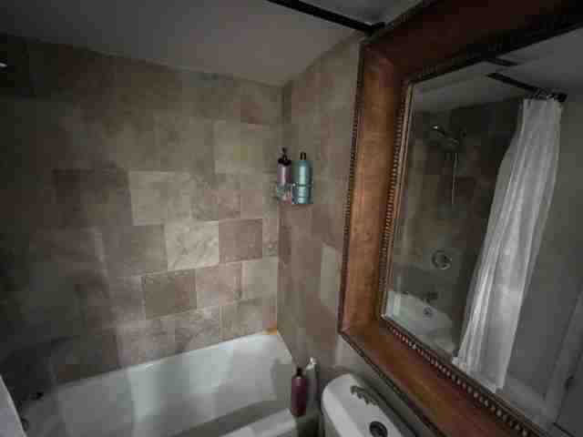 2611 Bayshore Blvd #1202 - Photo 3 of 11
