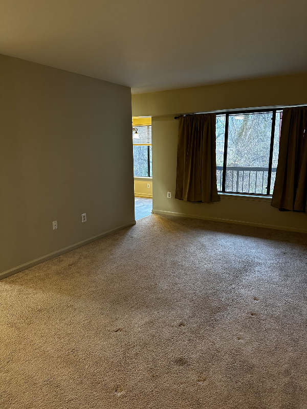 8395 Buttress Ln - Photo 4 of 16