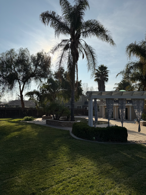 28250 Zepher Dr Tracy United States - Photo 2 of 16