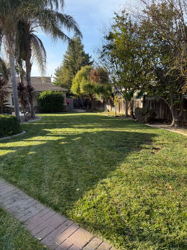 28250 Zepher Dr Tracy United States - Photo 3 of 16