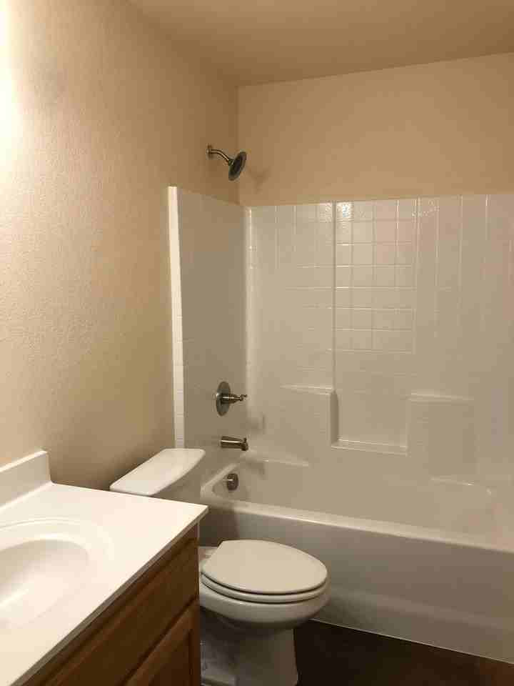 509 College St - Photo 5 of 18