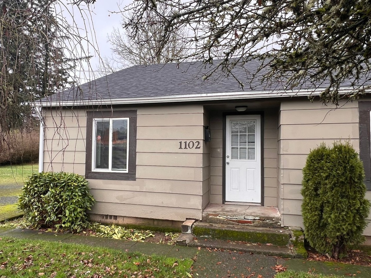 OWN674 - Photo 2 of 19