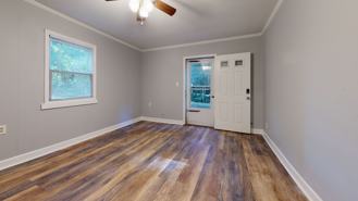 Redcoat - Photo 1 of 1