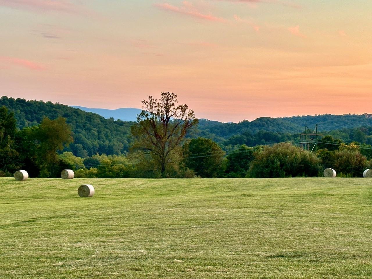 299 Highland Farm Rd - Photo 5 of 35