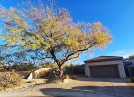 featured image of 7089 E Whispering Mesquite Trl