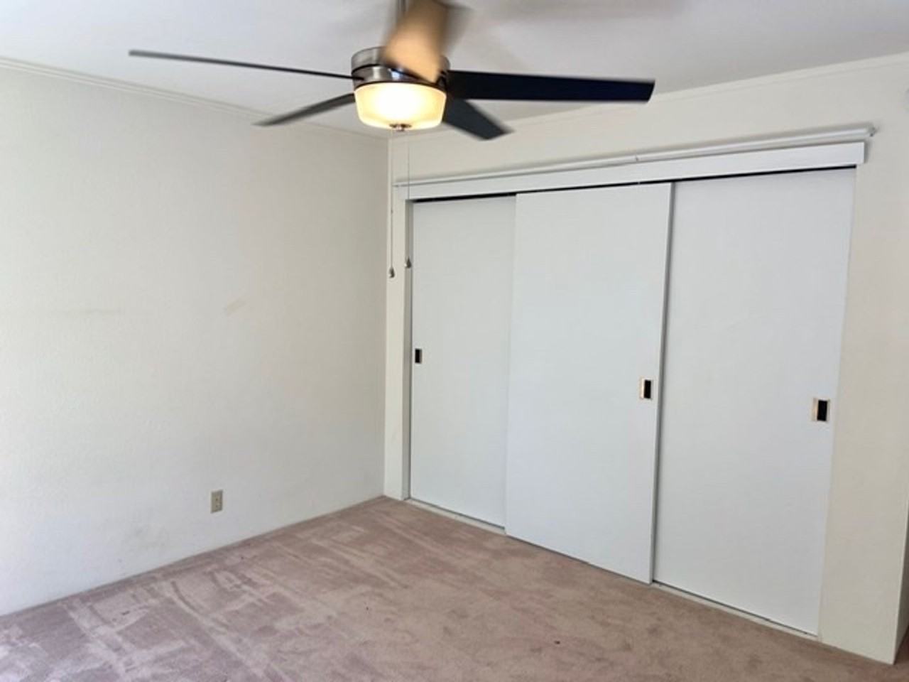 960 Prospect St #2 - Photo 7 of 12