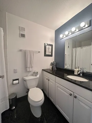 1625 Larimer Street #3101 - Photo 4 of 11