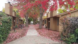 1304ch - Photo 1 of 1