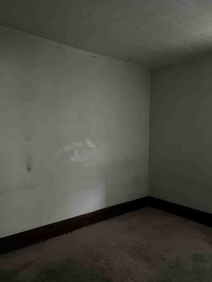 315 New Scotland Avenue - Photo 3 of 7