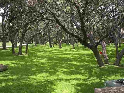 29311 Summit Ridge Dr - Photo 2 of 10