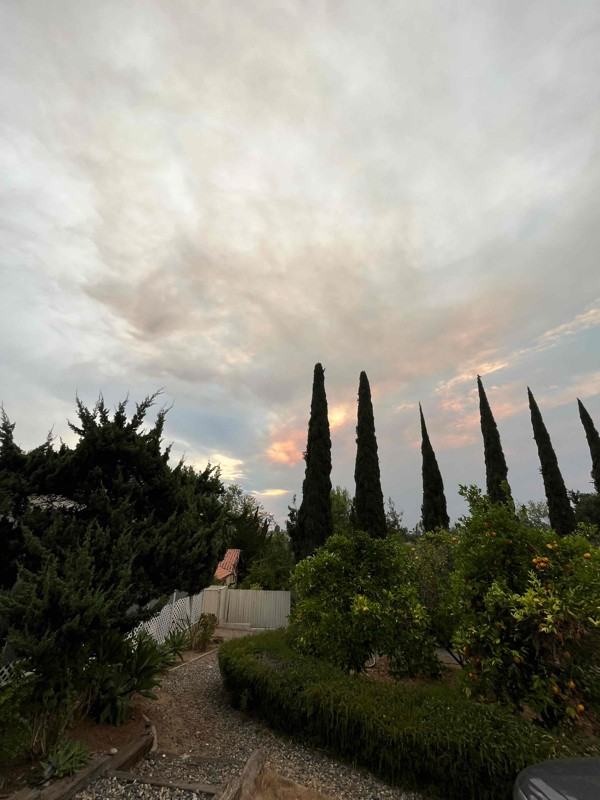 1003 Via Unidos - Photo 7 of 7