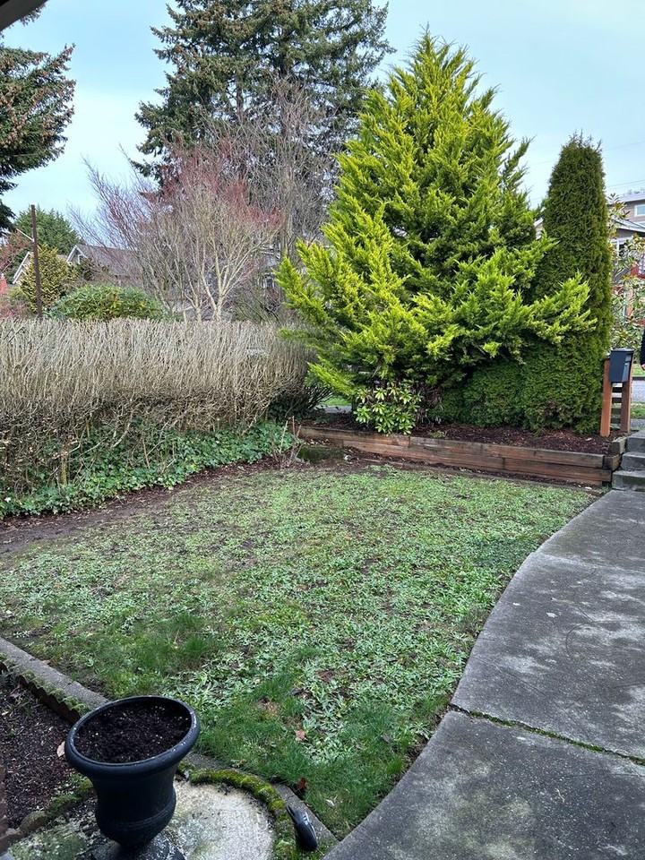 6345 40th Ave Sw - Photo 2 of 26