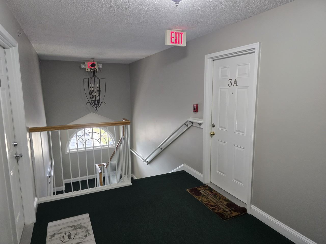 3483 Forestdale Dr #3A - Photo 3 of 27