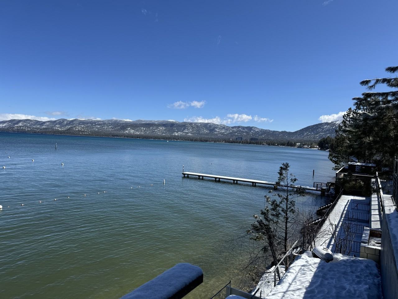 985 Lakeview Avenue #6 - Photo 6 of 16