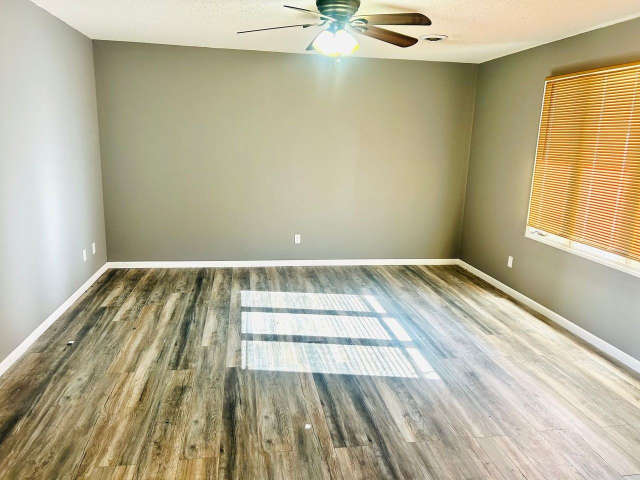 401 Shetland St - Photo 4 of 20