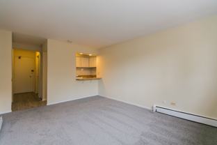 Lincoln Park Living! - Photo 1 of 1