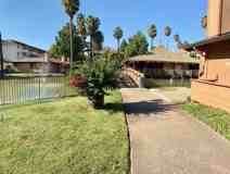 Palm Lake - Photo 1 of 1